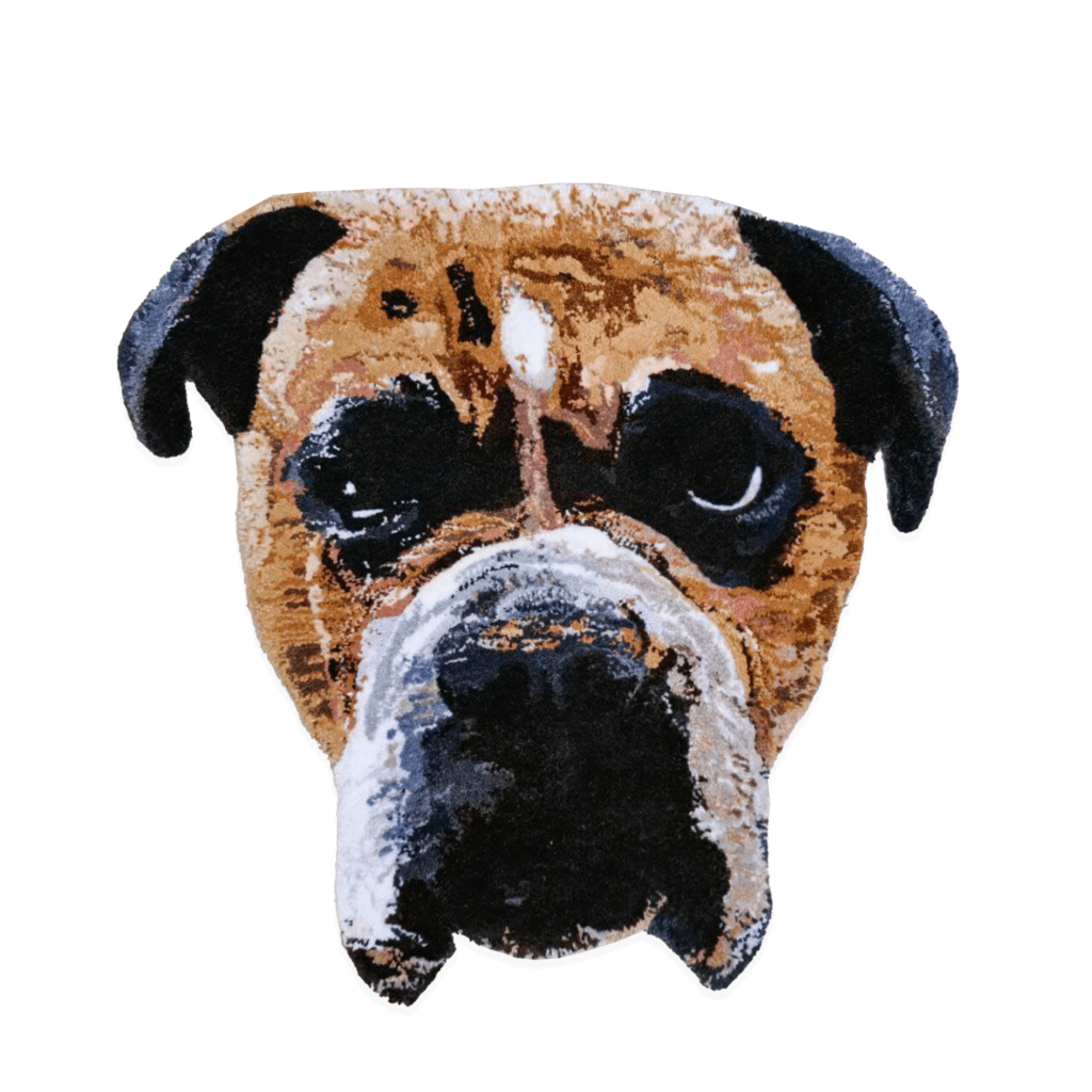 perro boxer alfombra rug pet portrait retrato mascota gato