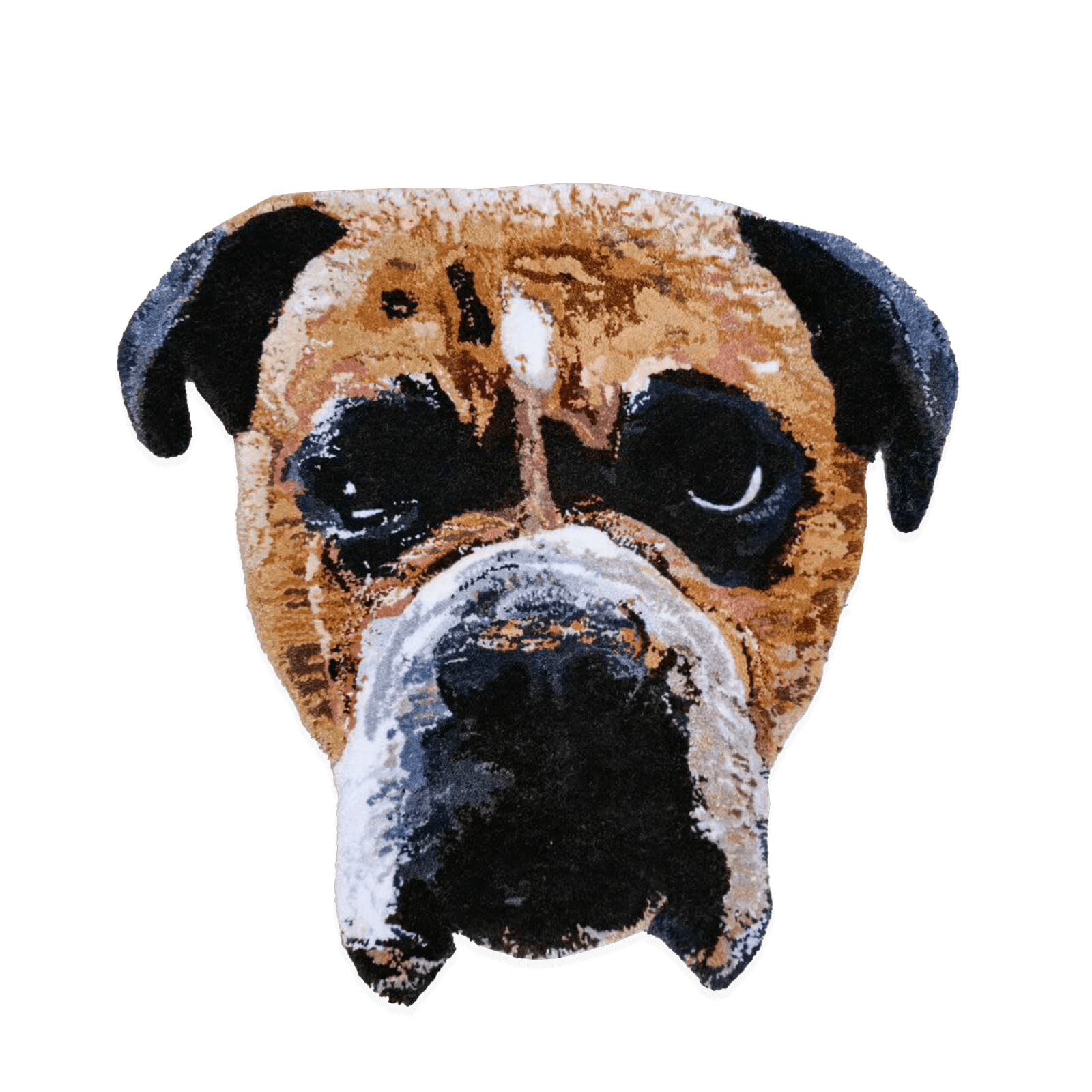 perro boxer alfombra rug pet portrait retrato mascota gato