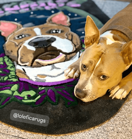 Retrato perro personalizado