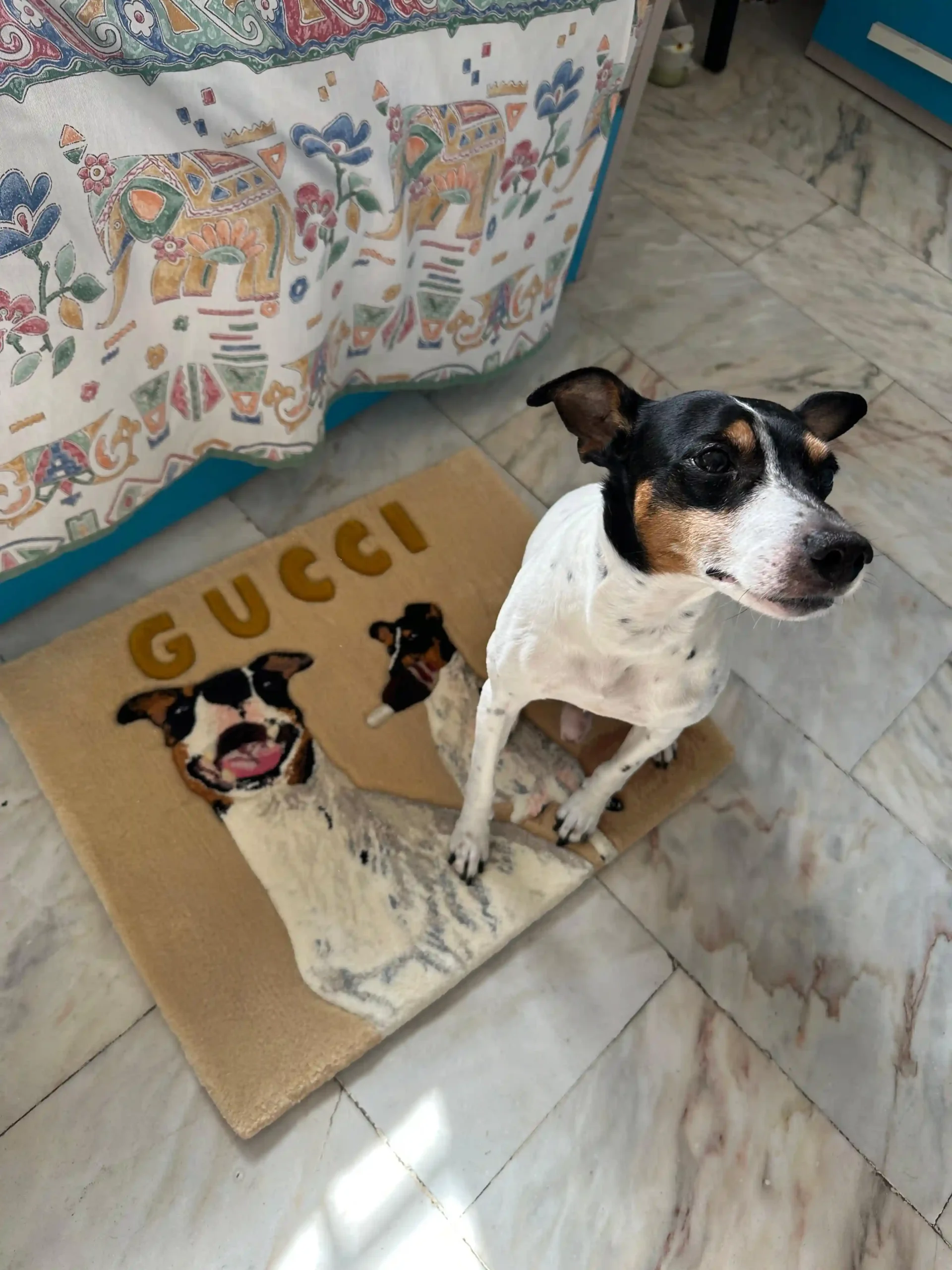 alfombra retrato perro personalizado con nombre