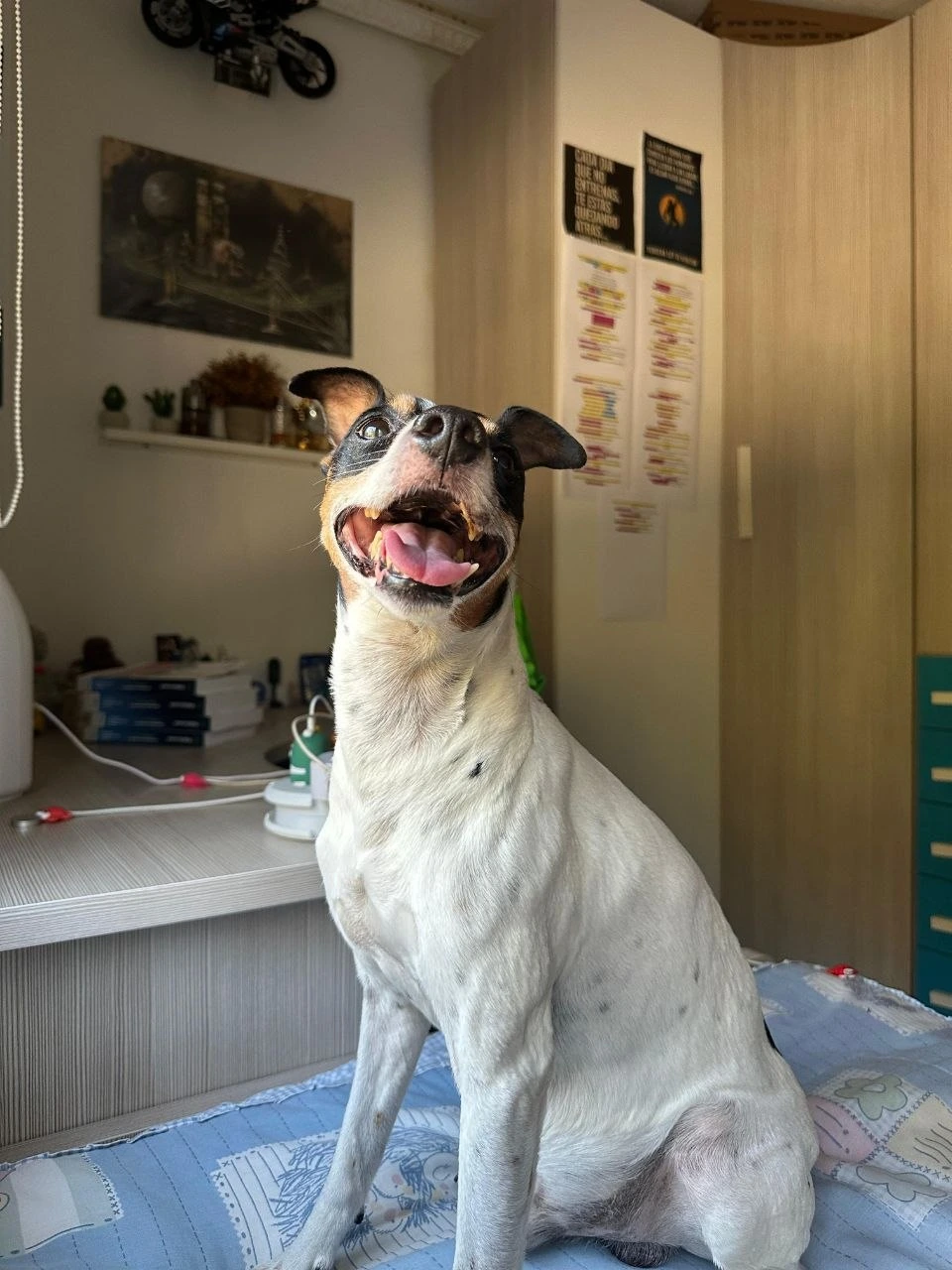 Alfombra personalizada Alberto Badajoz