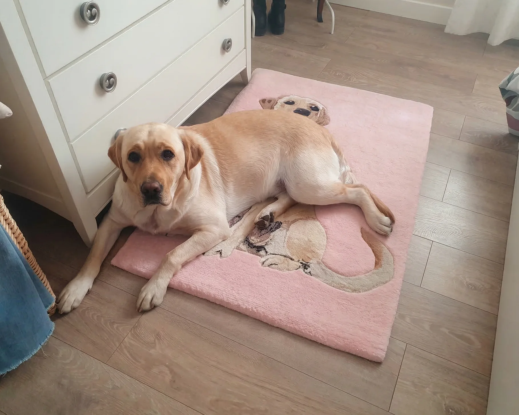 Resultado final de alfombra personalizada con retrato de perro