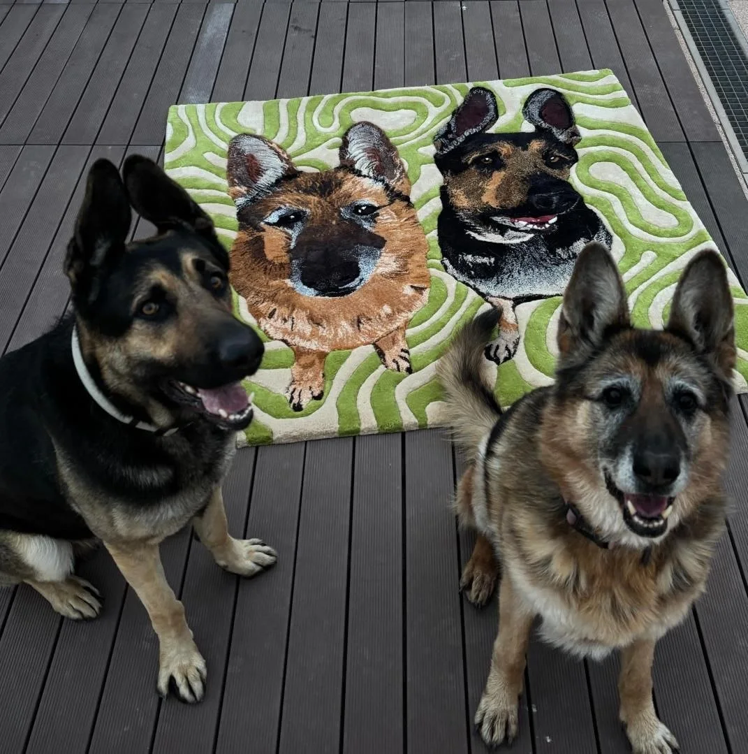 Clientes felices con su alfombra retrato de pastores alemanes